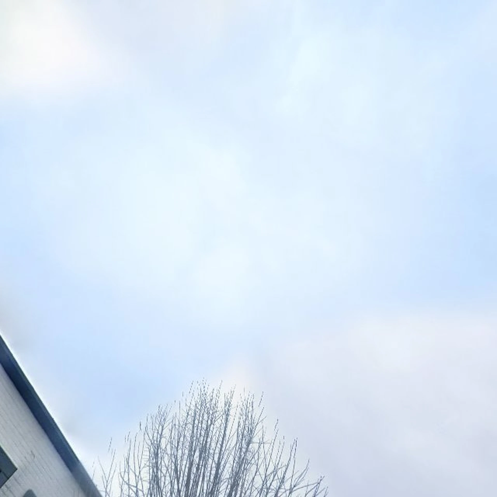 Kringloopwinkel Kringloopwinkel de Cirkel in Lisse