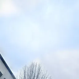 Kringloopwinkel Kringloopwinkel de Cirkel in Lisse