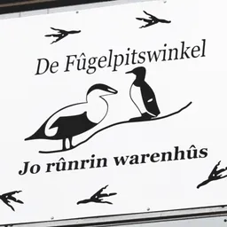 Winnaambord met twee eenden en vliegende vogels in de lucht