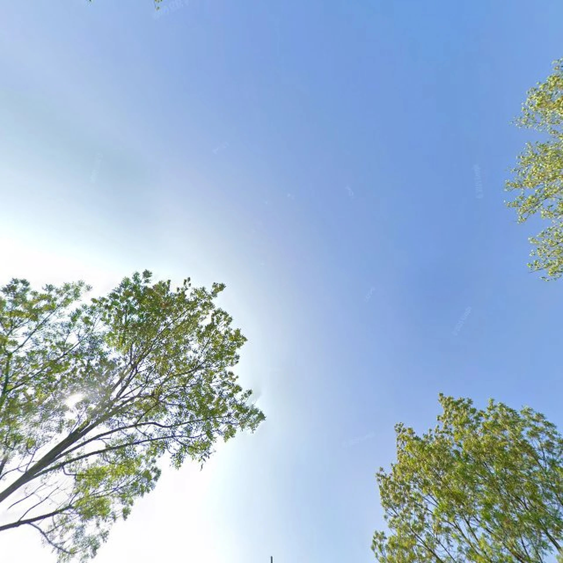 Kringloopwinkel Kringloopwinkel De Fûgelpits in Dokkum