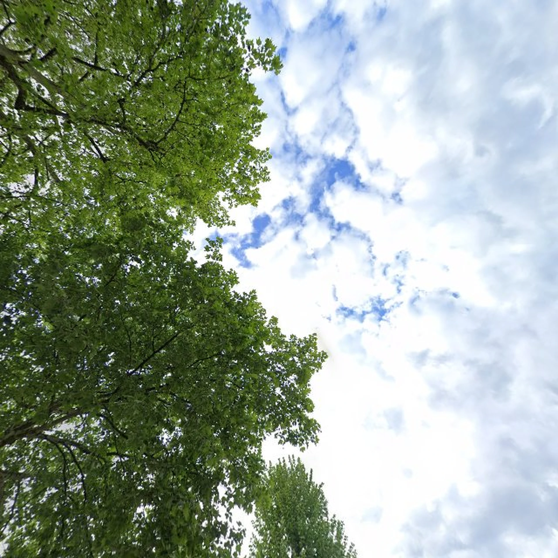 Kringloopwinkel Kringloopwinkel De Huiskamer in Schijndel