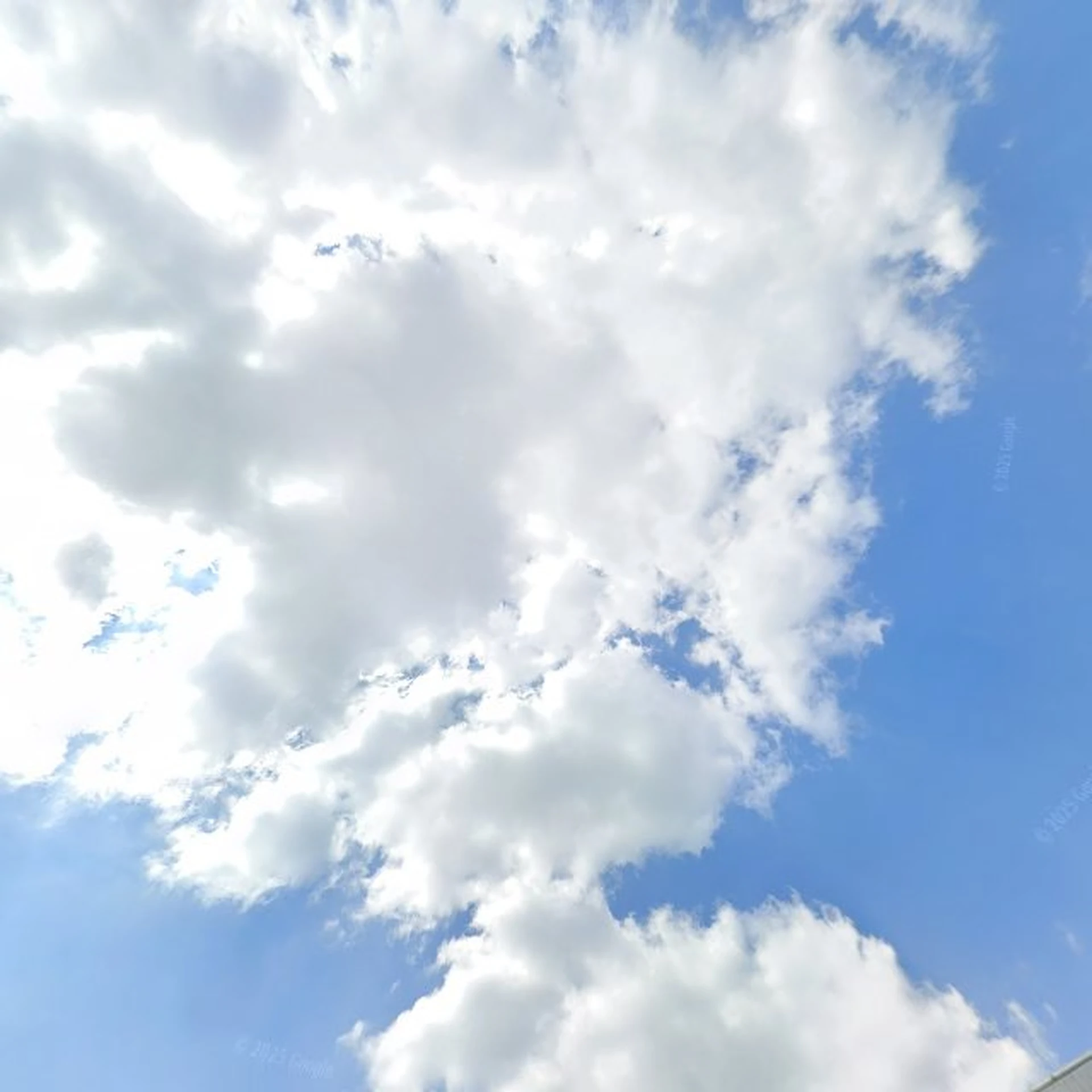 Kringloopwinkel Kringloopwinkel de Kempen in Eersel