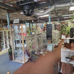 Winkelvloer van kringloopwinkel met diverse stellingen, vitrines met glaswerk en decoratieve items, plantjes en huishoudelijk