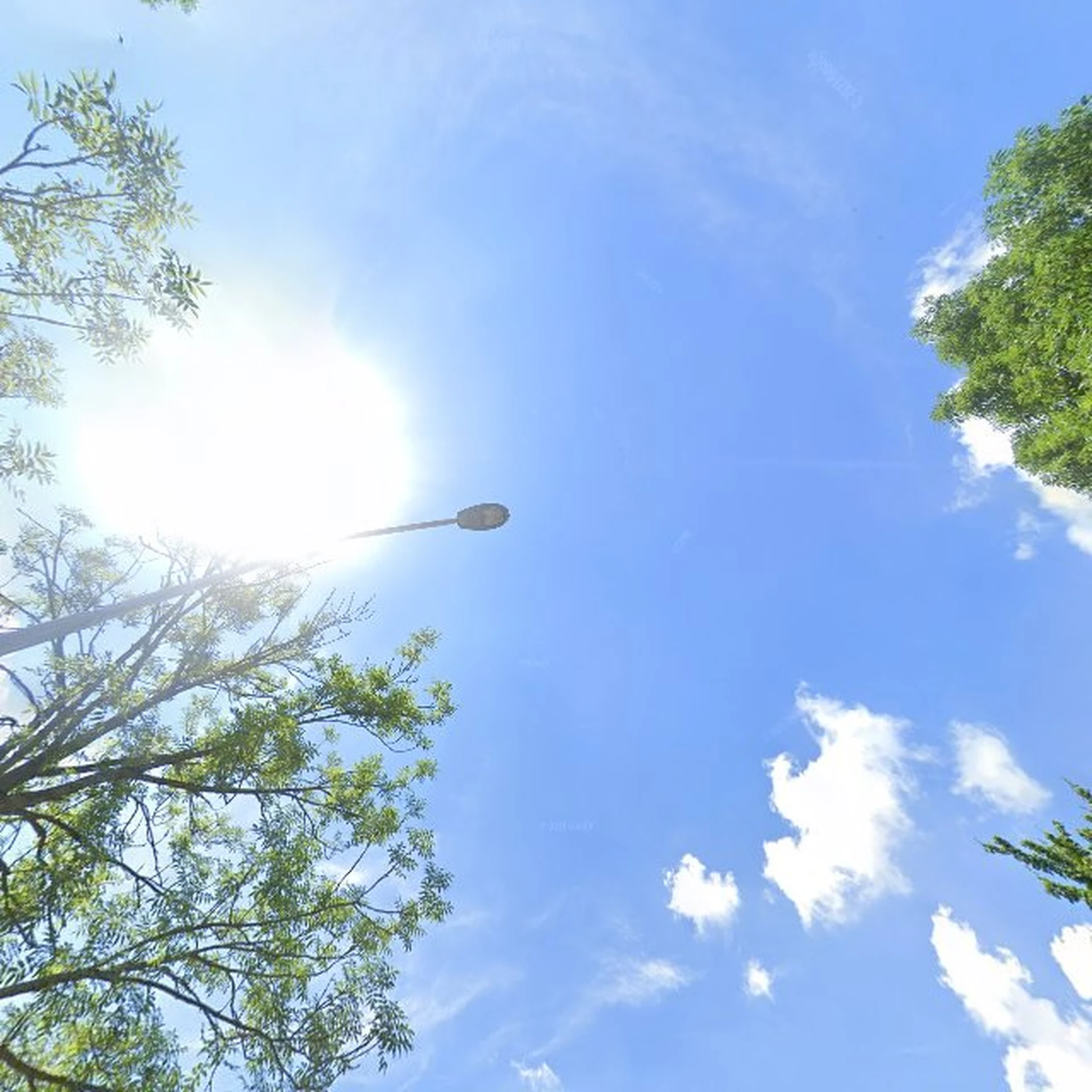 Kringloopwinkel Kringloopwinkel "De kring" in Meppel