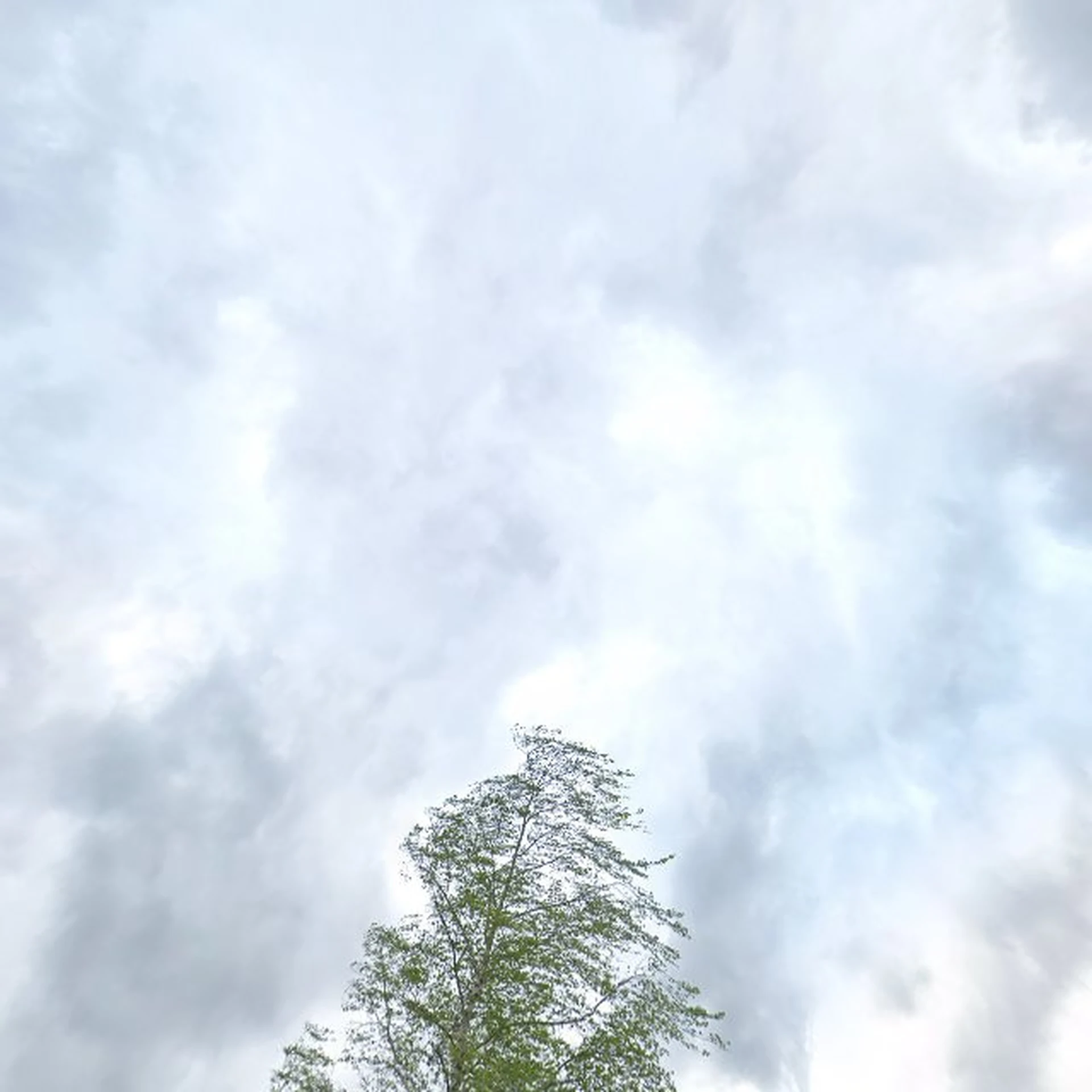 Kringloopwinkel Kringloopwinkel de Kringloper in Etten-Leur