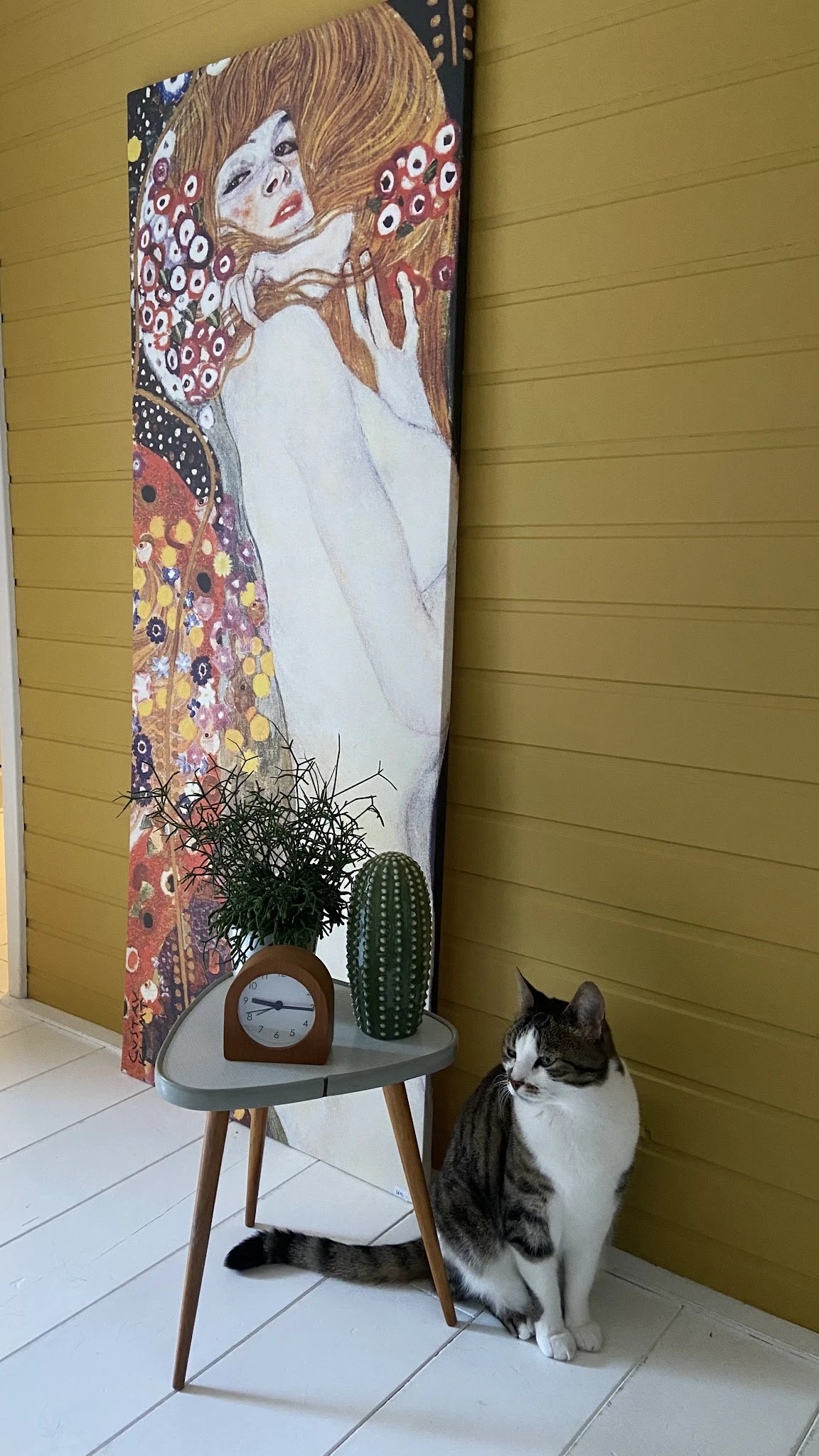 Hoek van winkelinterieur met gele wand, kunstwerk, klok, cactus en kat