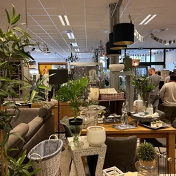 Winkelvloer met meubels, verlichting, plantjes en decoratie; overzicht van het aanbod in de kringloopwinkel