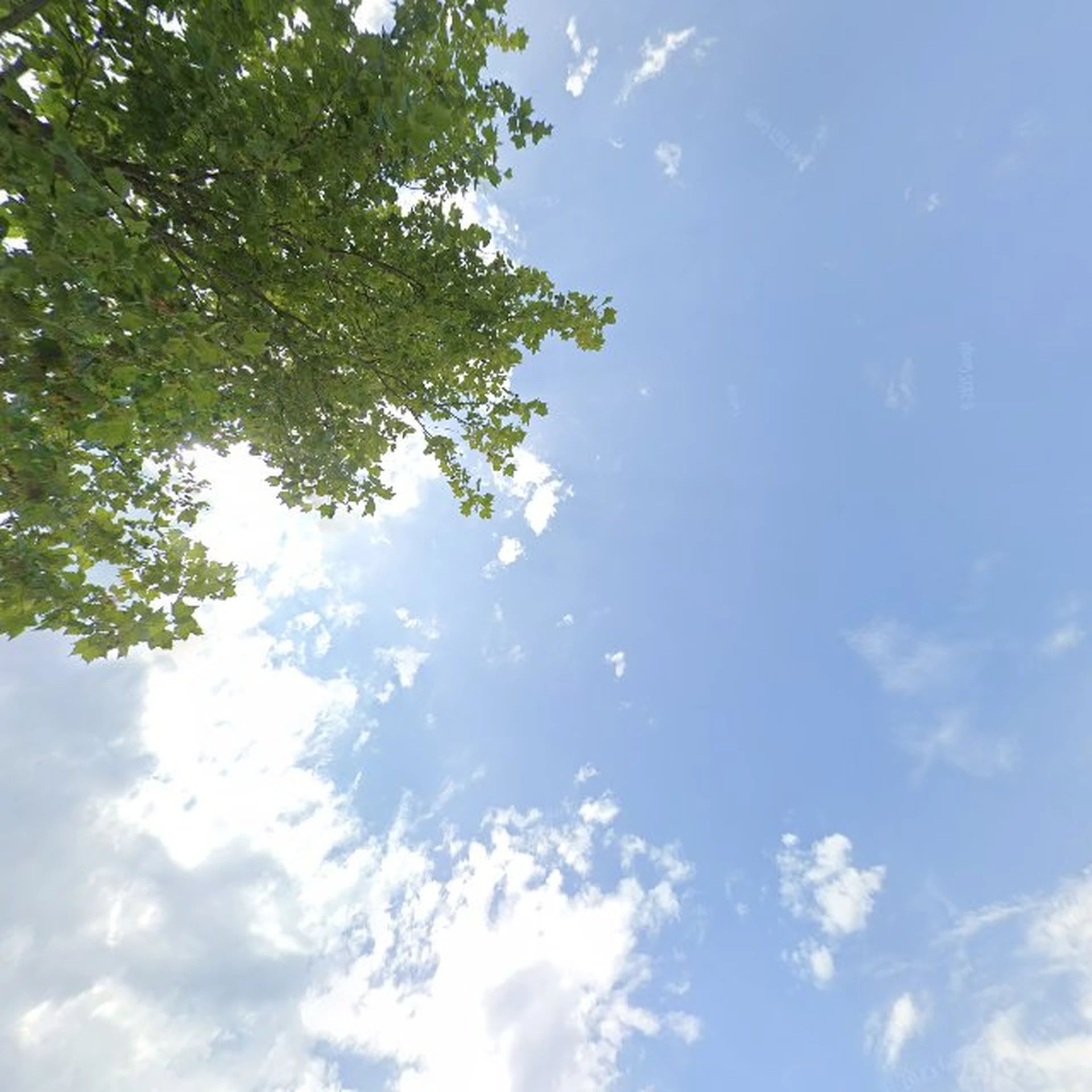 Kringloopwinkel Kringloopwinkel de Mors in Rijssen