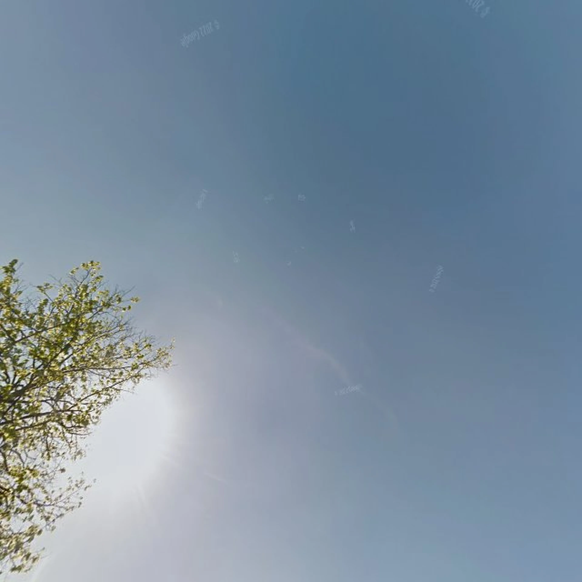 Kringloopwinkel Kringloopwinkel De Oude Bakkerij in Nieuw-Beijerland