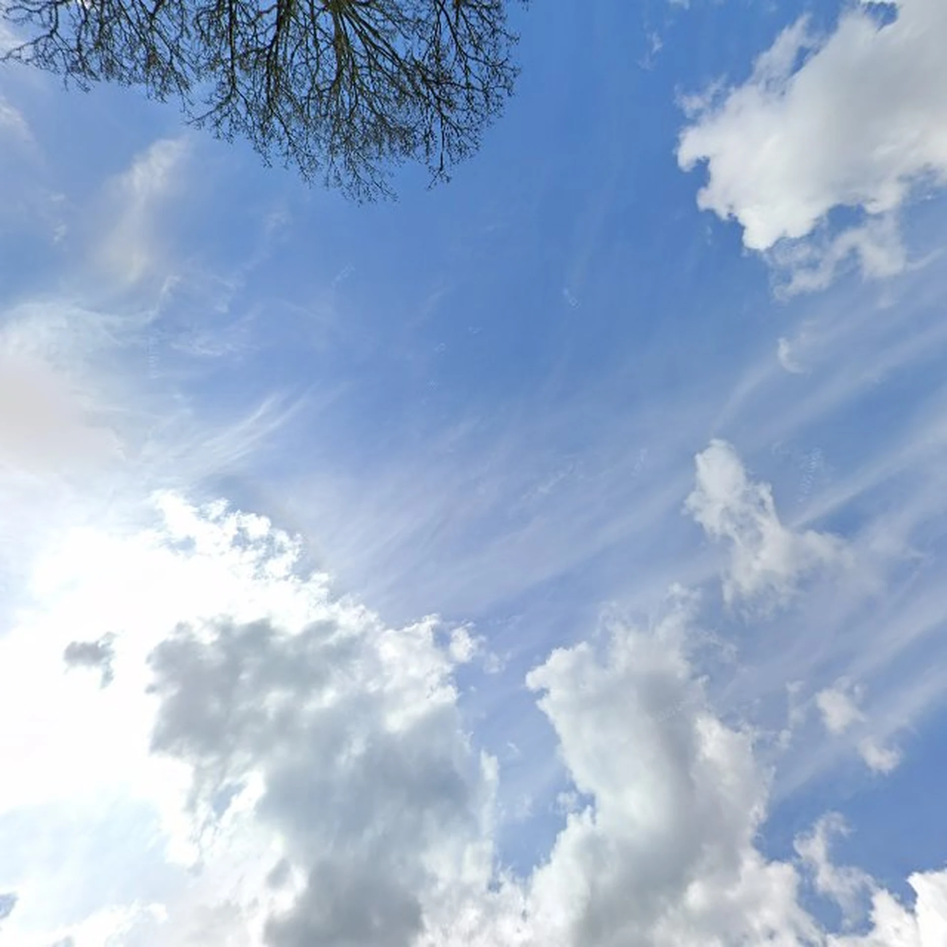 Kringloopwinkel Kringloopwinkel De Rode Beer in Wapenveld