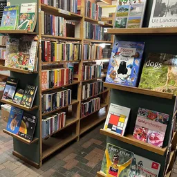 Boekenrekken en displaykasten met boeken en andere artikelen in de winkel