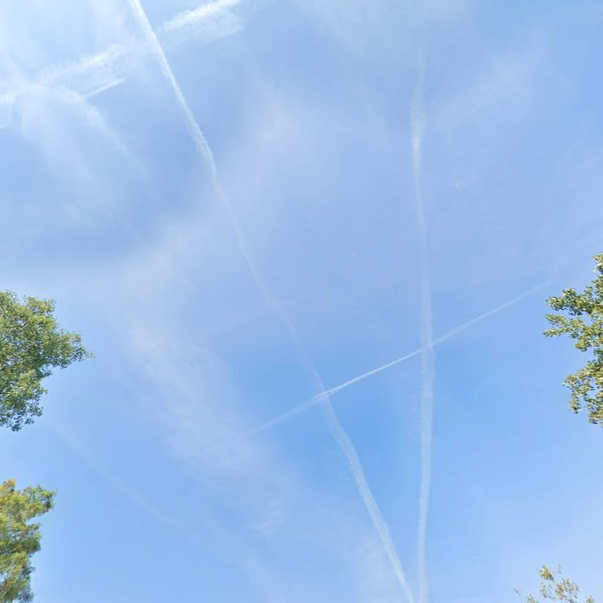 Kringloopwinkel Kringloopwinkel De Sirkel in Maarssen