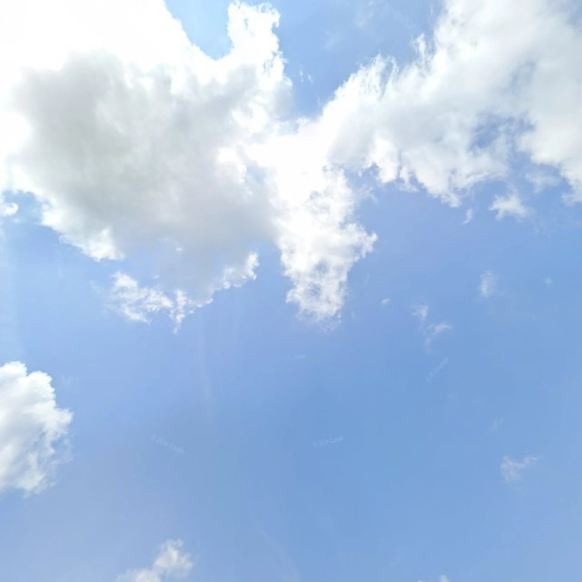 Kringloopwinkel Kringloopwinkel de Sneuper in Dokkum