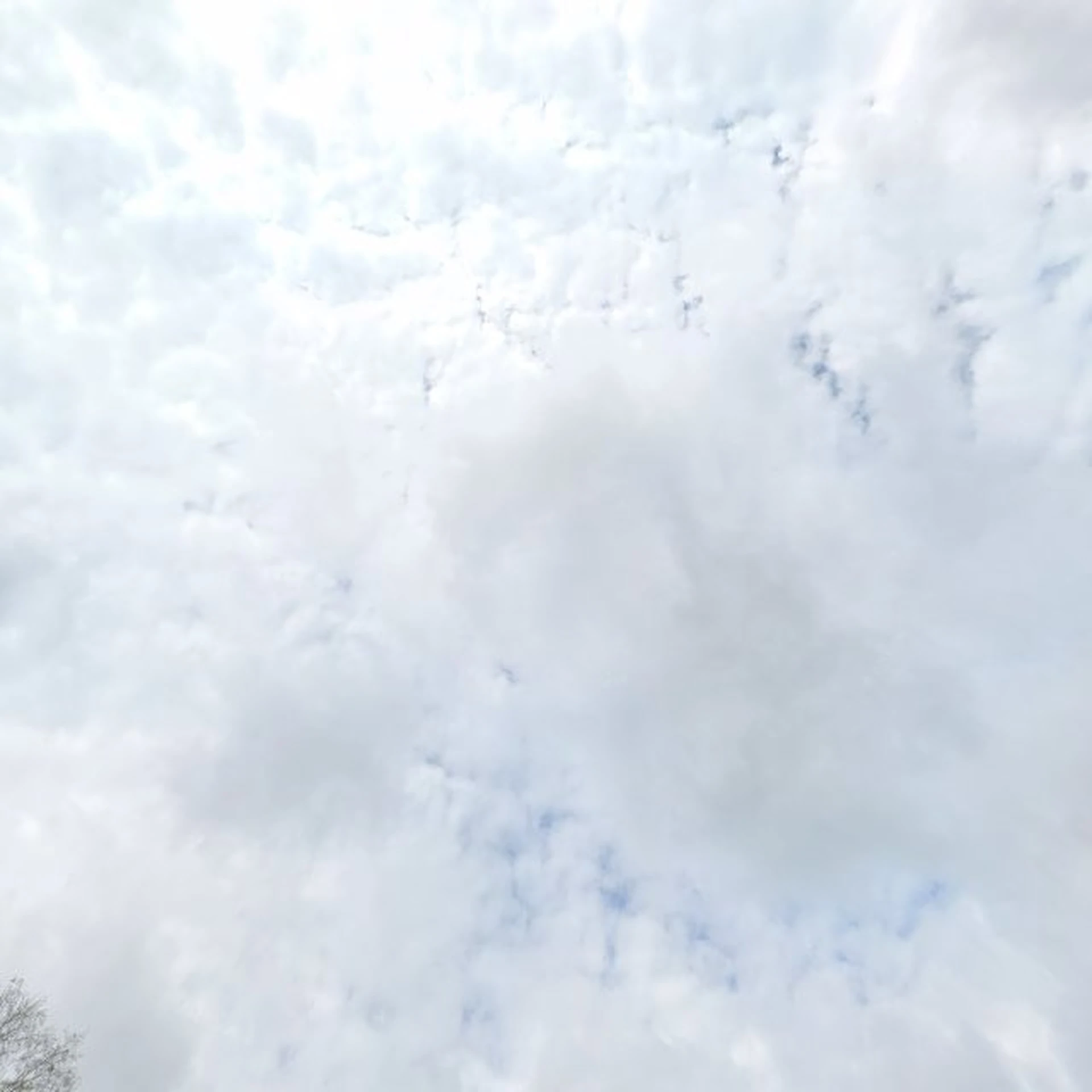 Kringloopwinkel Kringloopwinkel de snuffelhal in Putten