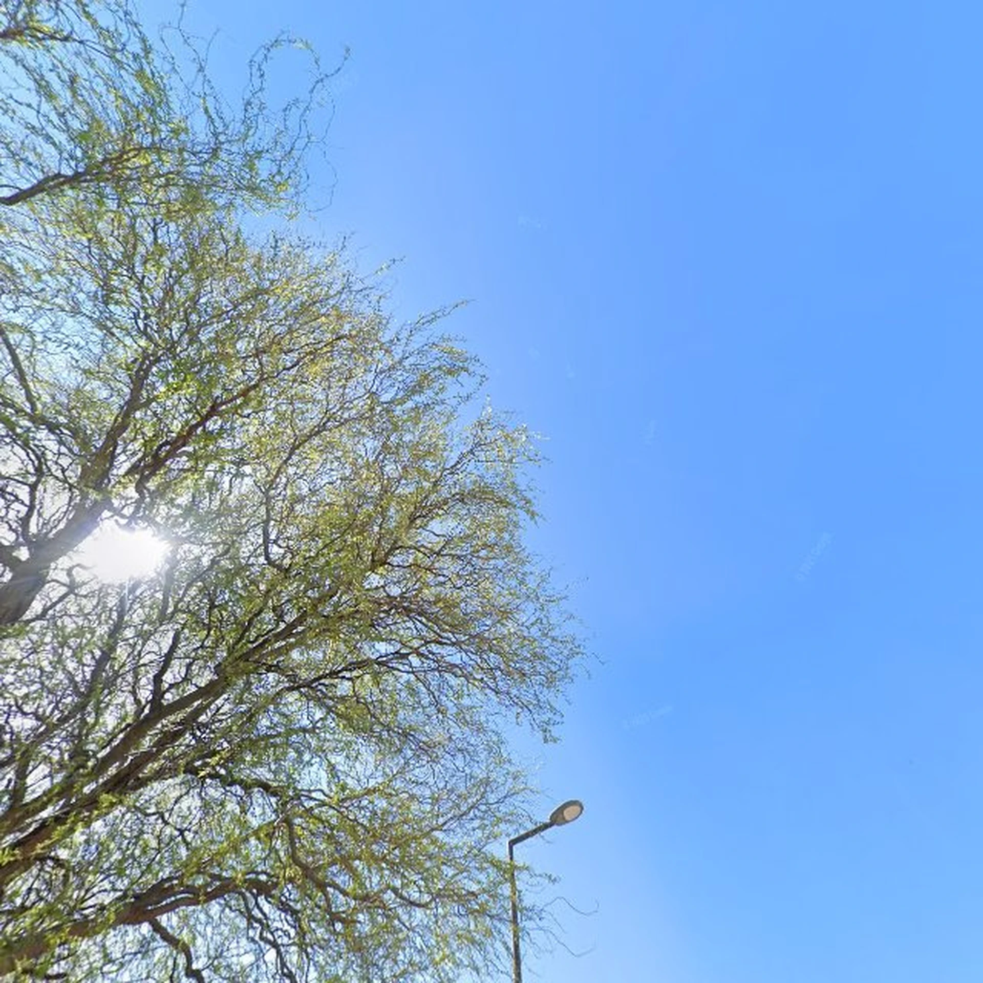 Kringloopwinkel Kringloopwinkel De Snuffelloods in Hook of Holland