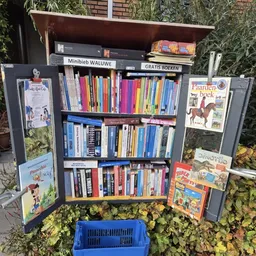 Opengestelde boekenkast vol met tweedehands boeken, kinderboeken en strips op verschillende planken