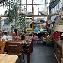 Winkelvloer met tafels, stoelen, meubels, kussens op stellingen, lampen en enkele planten