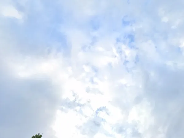 Kringloopwinkel Kringloopwinkel De Verbinding Walburg in Zwijndrecht