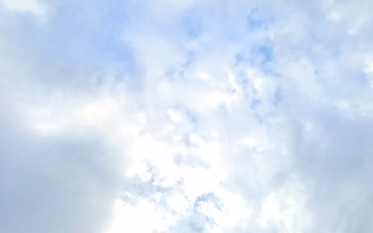 Kringloopwinkel Kringloopwinkel De Verbinding Walburg in Zwijndrecht