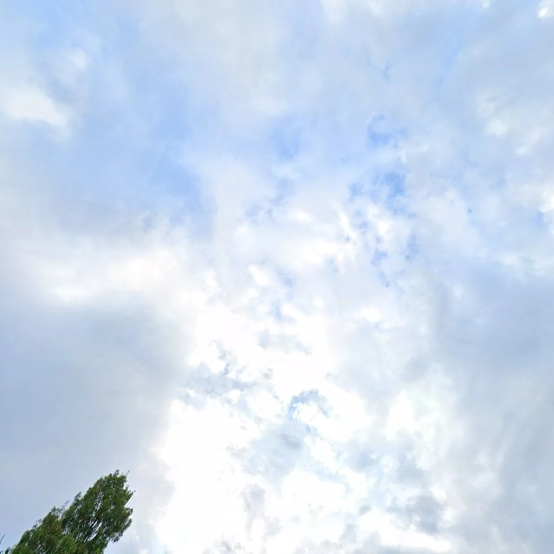 Kringloopwinkel Kringloopwinkel De Verbinding Walburg in Zwijndrecht