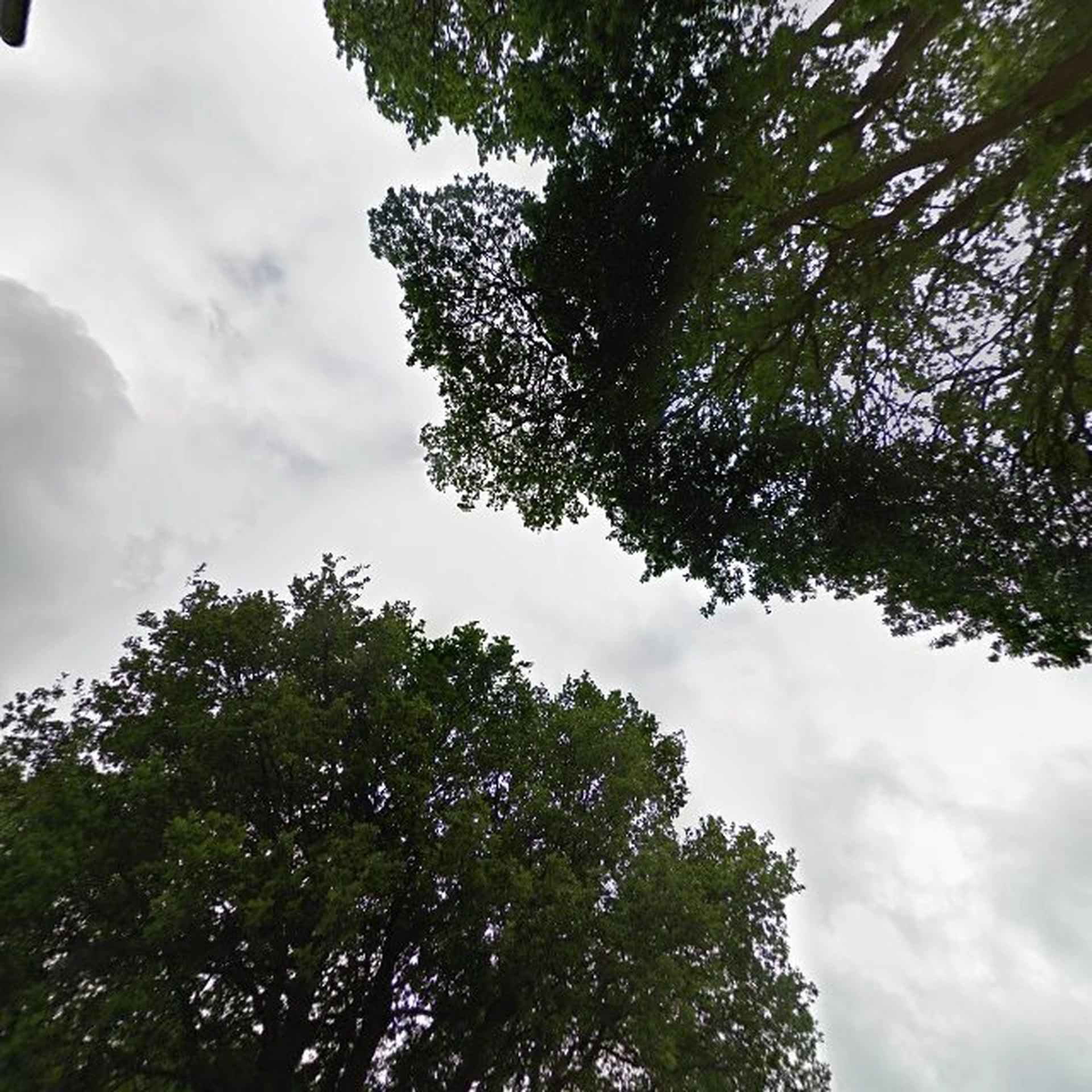 Kringloopwinkel Kringloopwinkel De Waar in Emmen