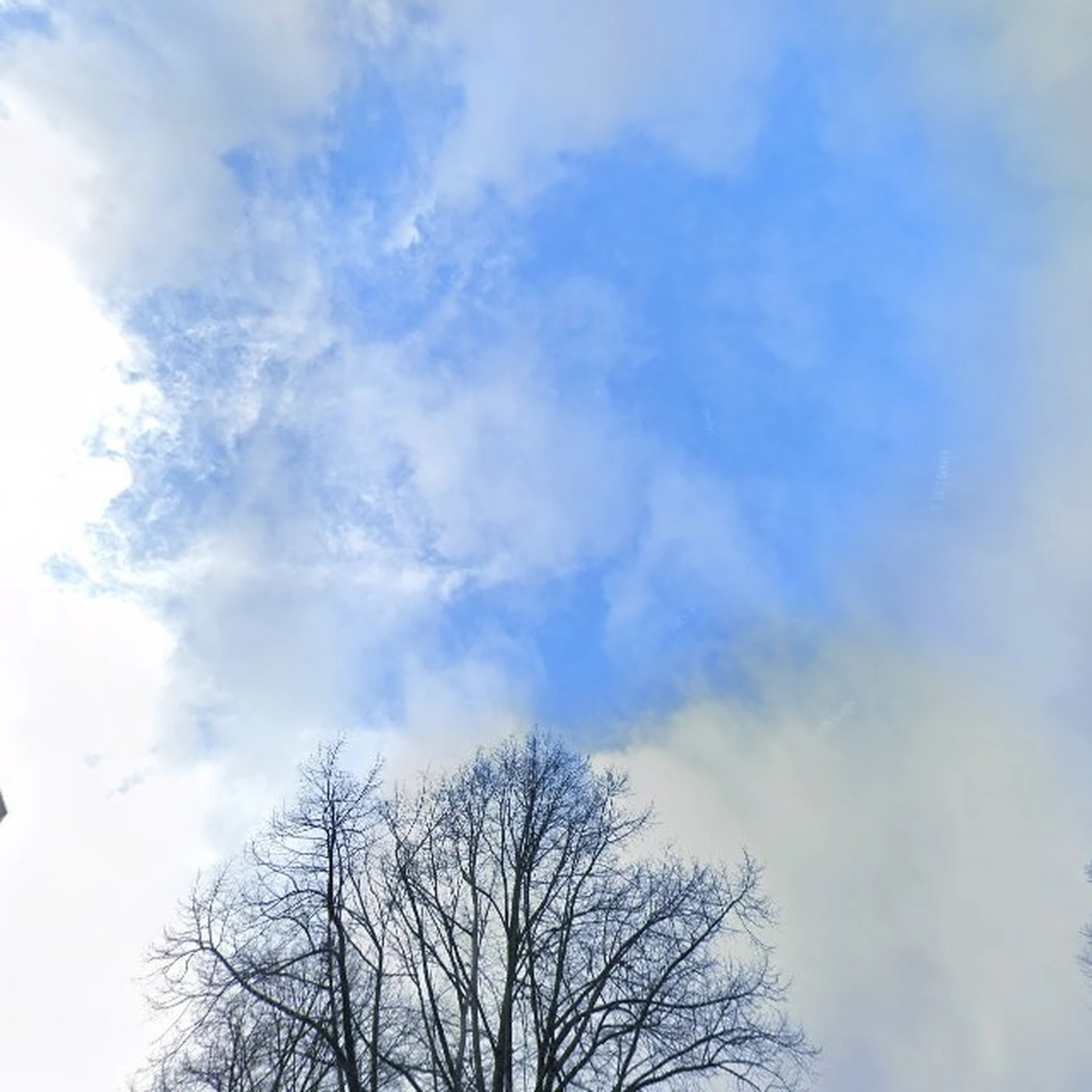 Kringloopwinkel Kringloopwinkel De Waarde in Utrecht