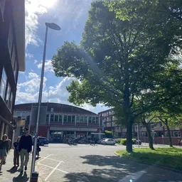Winkelstraat met modern pand en groene bomen, helder weer
