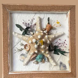 Decoratieve zeester versierd met parels, schelpen, gedroogde bloemen en andere natuurlijke materialen in een lijstje