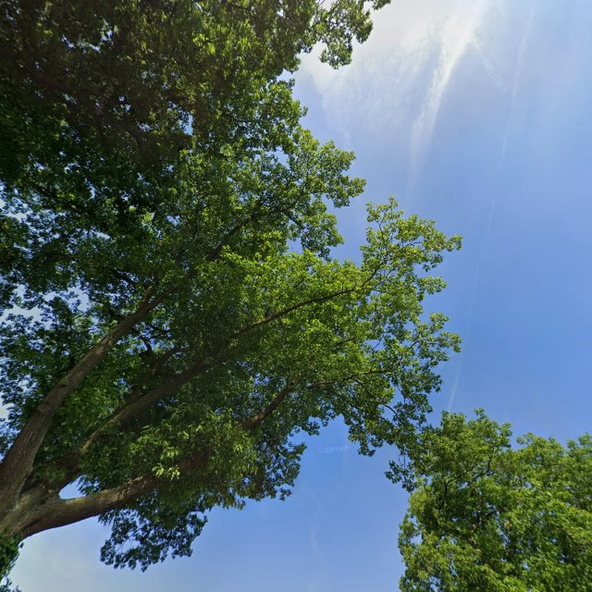 Kringloopwinkel Kringloopwinkel De Werf in Vorden