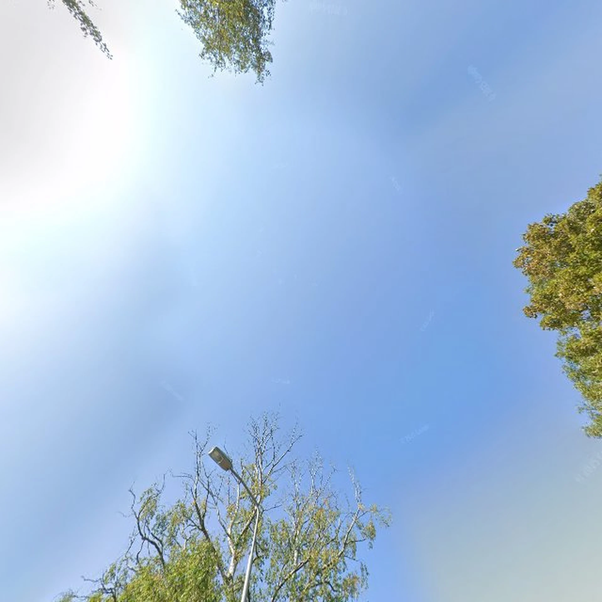 Kringloopwinkel Kringloopwinkel De Wisselbeker in Nootdorp