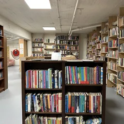 Binnenzicht van kringloopwinkel met boekenkasten en dvd-rekken langs de wanden en in het midden