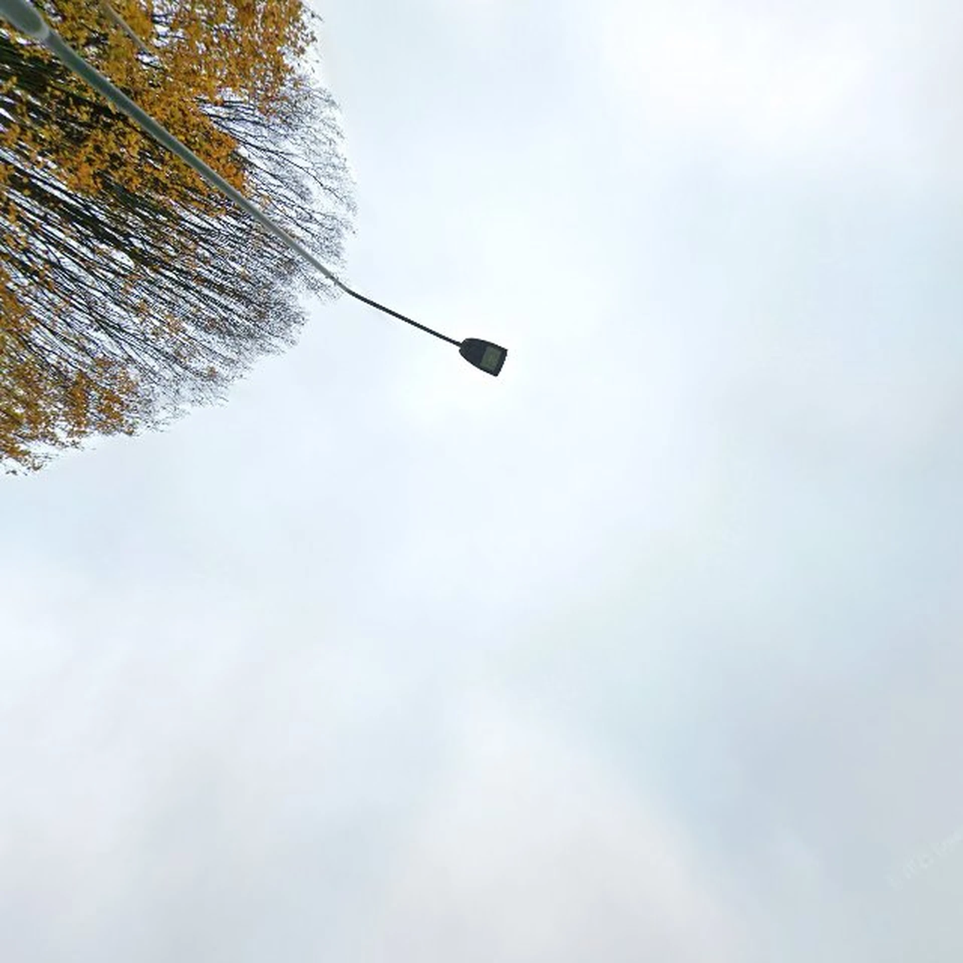 Kringloopwinkel Kringloopwinkel en werkplaats Verderest in Budel