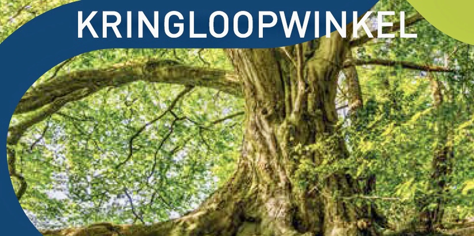 Kringloopwinkel Kringloopwinkel en werkplaats Verderest in Budel