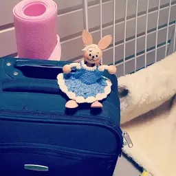 Bezoeker foto van Kringloopwinkel ErZitLigtIetsBijWa in Ewijk