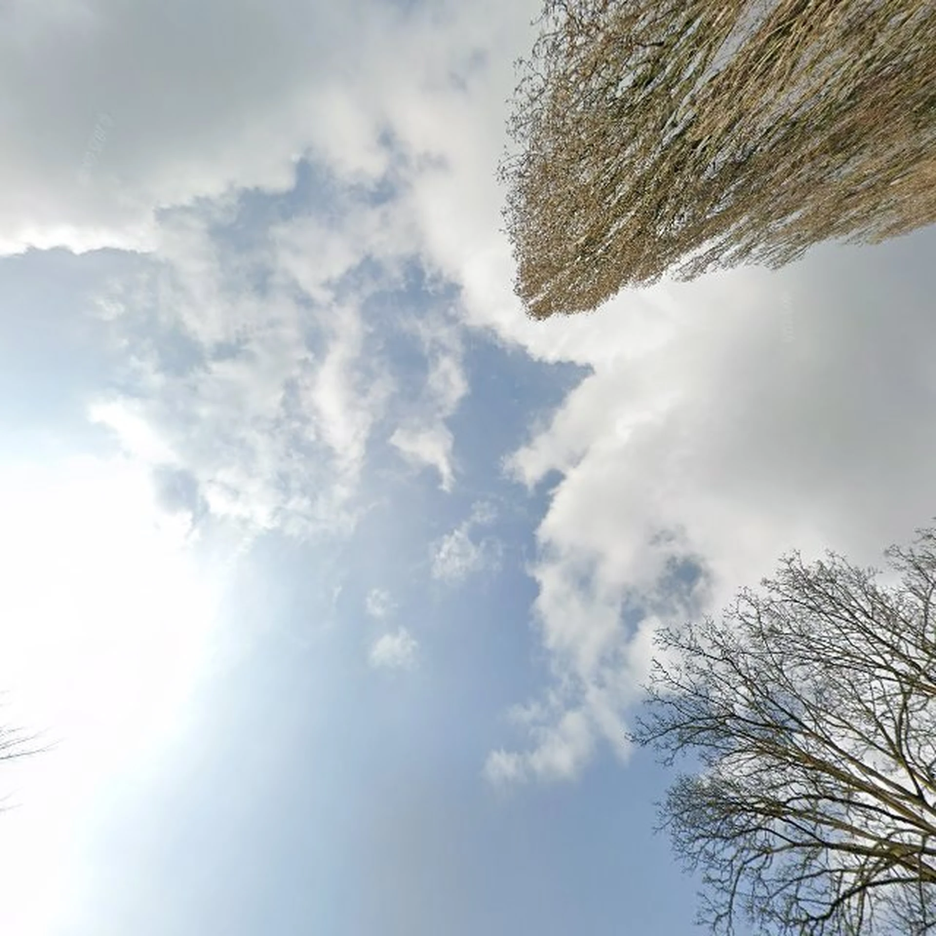 Kringloopwinkel Kringloopwinkel ErZitLigtIetsBijWa in Ewijk