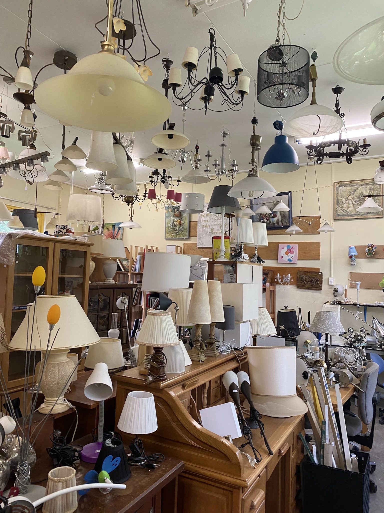 Uitgestalde lampen en lampenkappen in verschillende stijlen en kleuren, hangend aan het plafond en op tafels in de winkel