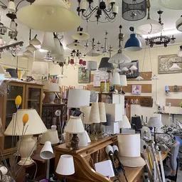 Uitgestalde lampen en lampenkappen in verschillende stijlen en kleuren, hangend aan het plafond en op tafels in de winkel