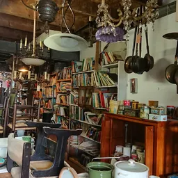 Interieur van kringloopwinkel met boekenkasten, hangend kookgerei, houten meubels en diverse spullen