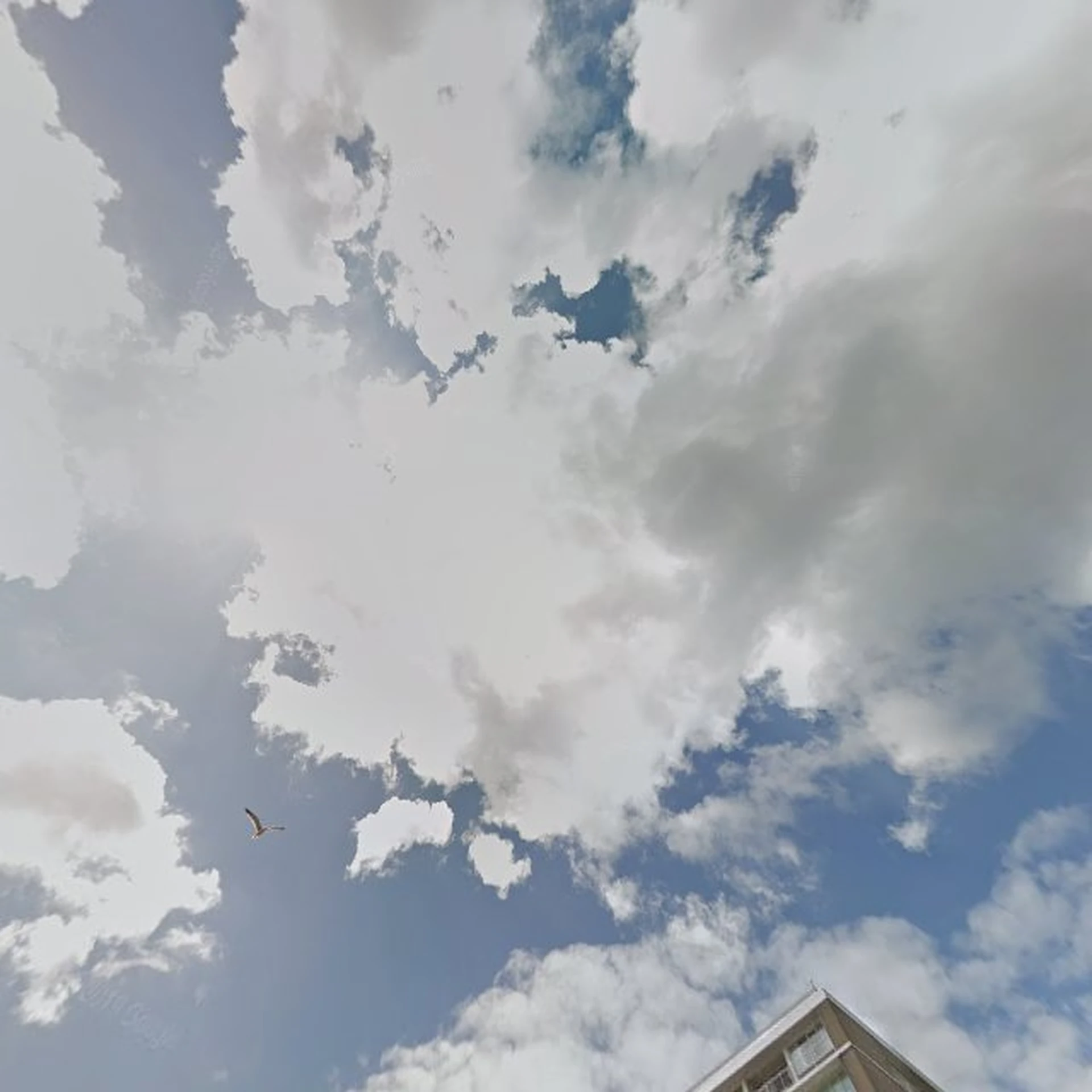 Kringloopwinkel Kringloopwinkel Gewoon Goed in Schiedam