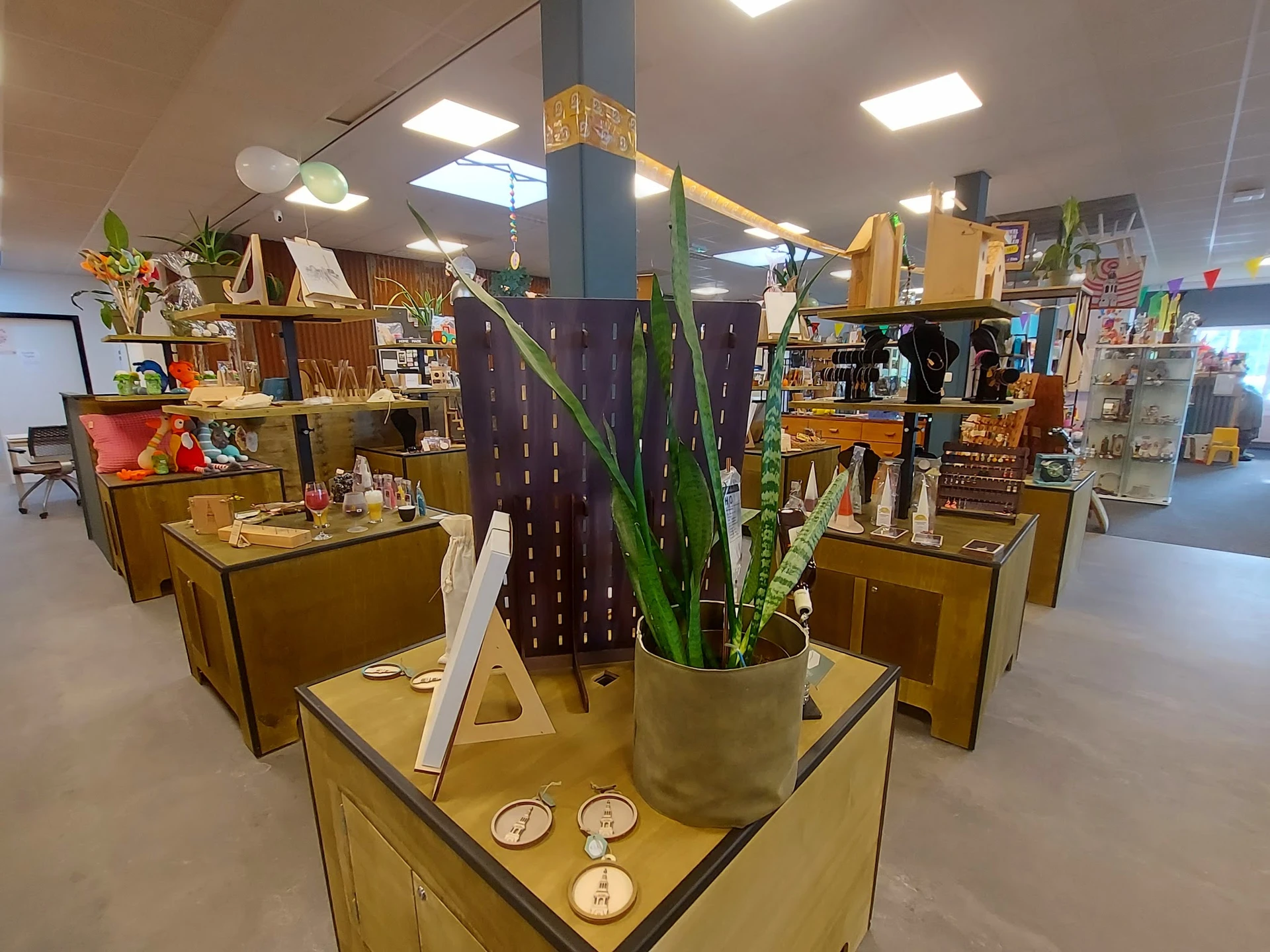 Winkelinterieur met houten kasten, planken vol spullen en een grote potplant in het midden
