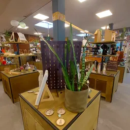 Winkelinterieur met houten kasten, planken vol spullen en een grote potplant in het midden