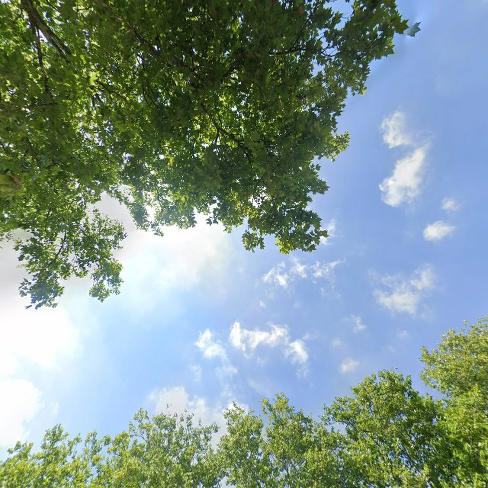 Kringloopwinkel Kringloopwinkel Goedkoop & Zo Breda Oranjeboomstraat in Breda