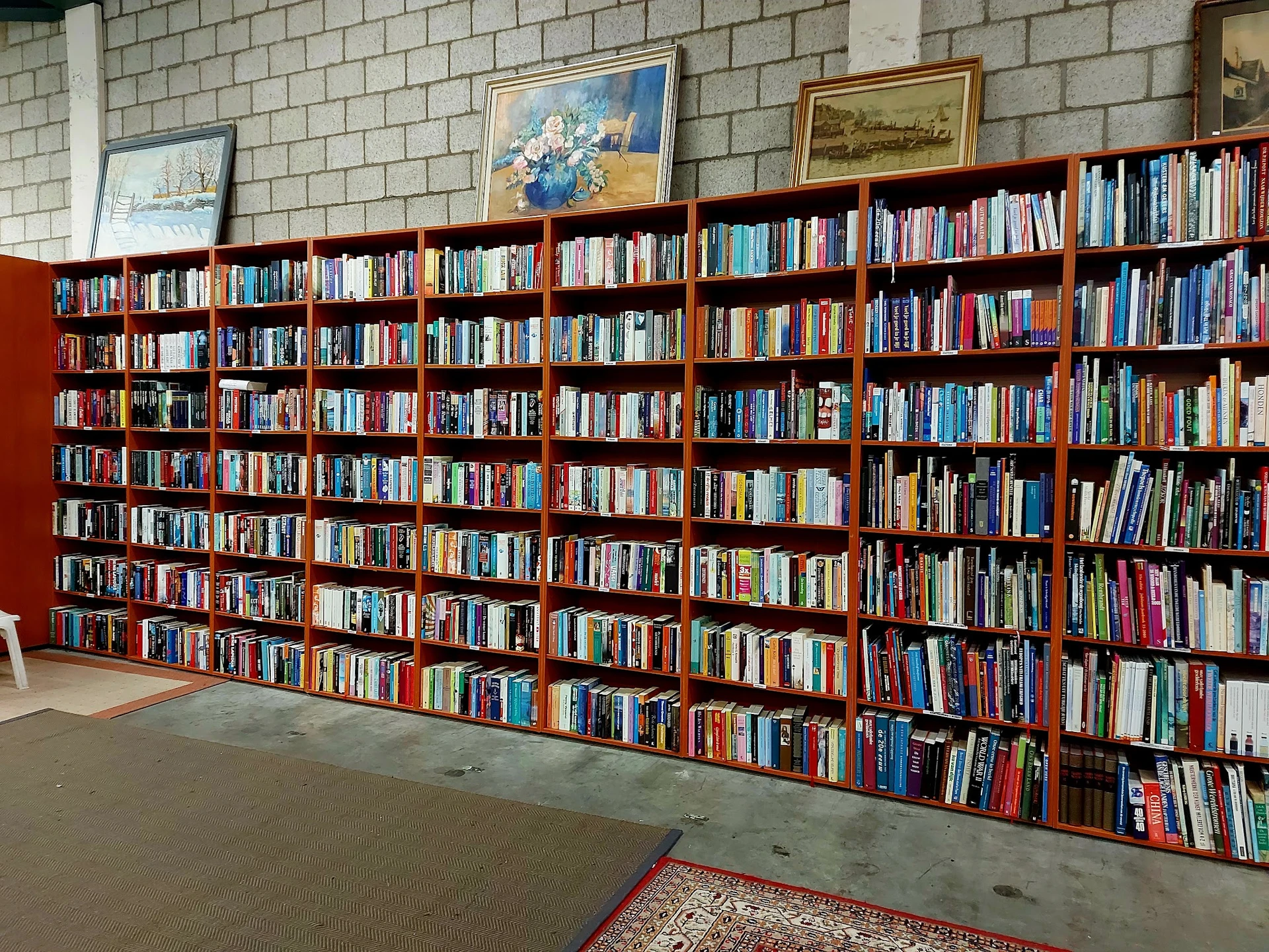 Grote boekenkast met honderden tweedehands boeken netjes uitgestald in rode stellingen tegen witte muur