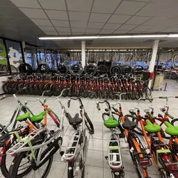 Grote verzameling tweedehands fietsen in verschillende kleuren uitgestald in de winkel