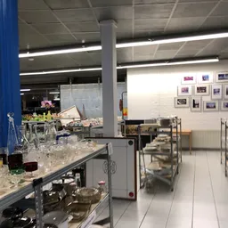 Winkelinterieur met glazen serviesgoed op toonbanken, blauwe pijler, stellingen en wandfoto's