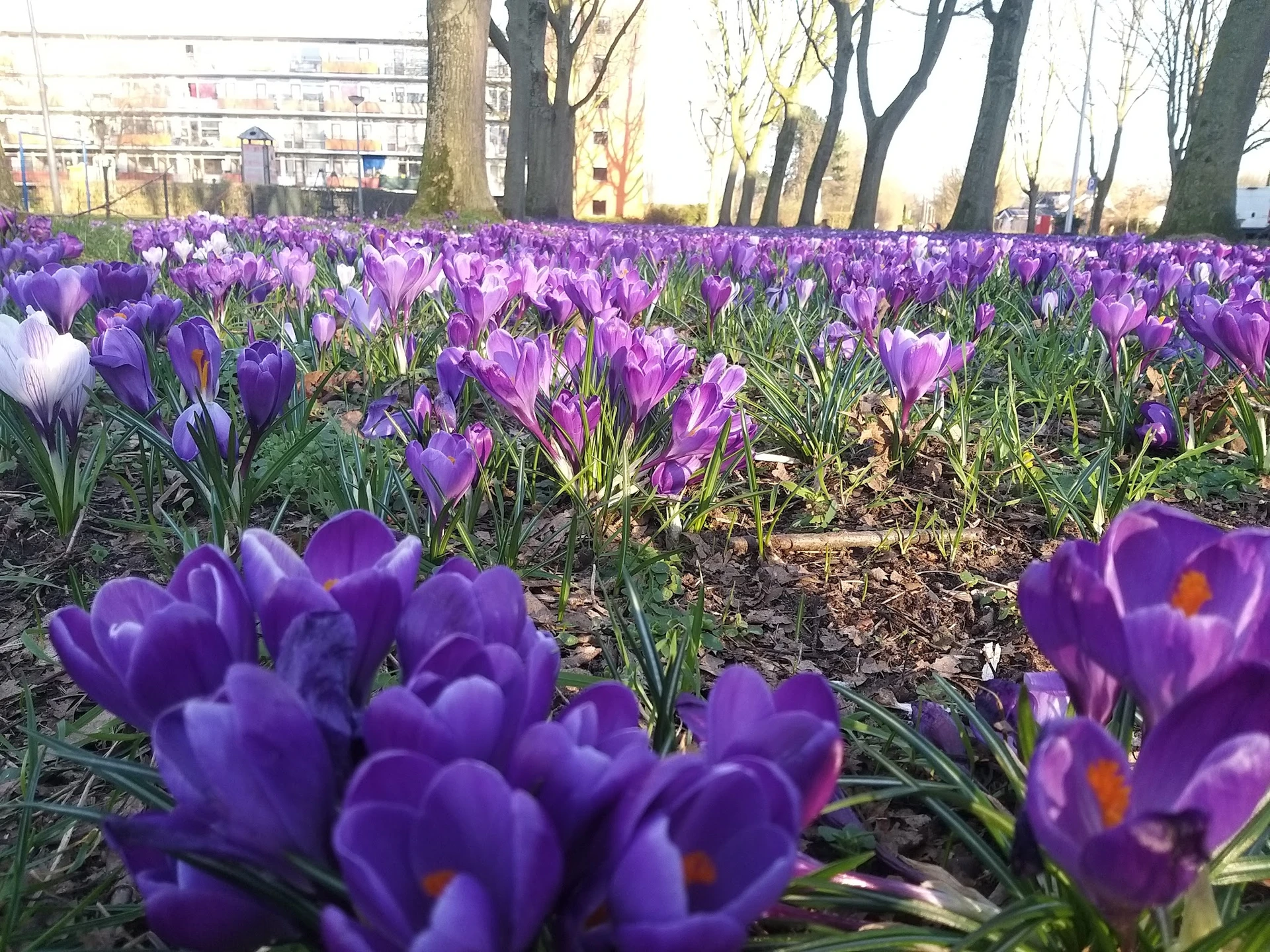 Bezoeker foto van Kringloopwinkel Hand in Zutphen