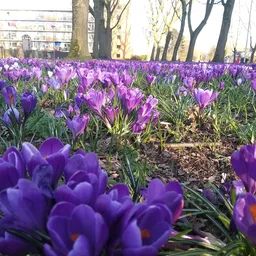 Bezoeker foto van Kringloopwinkel Hand in Zutphen