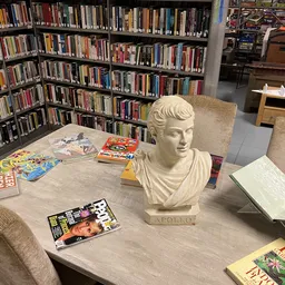 Leesruimte in kringloopwinkel met boekenkasten, tafel met boeken en een wit buste van Apollo