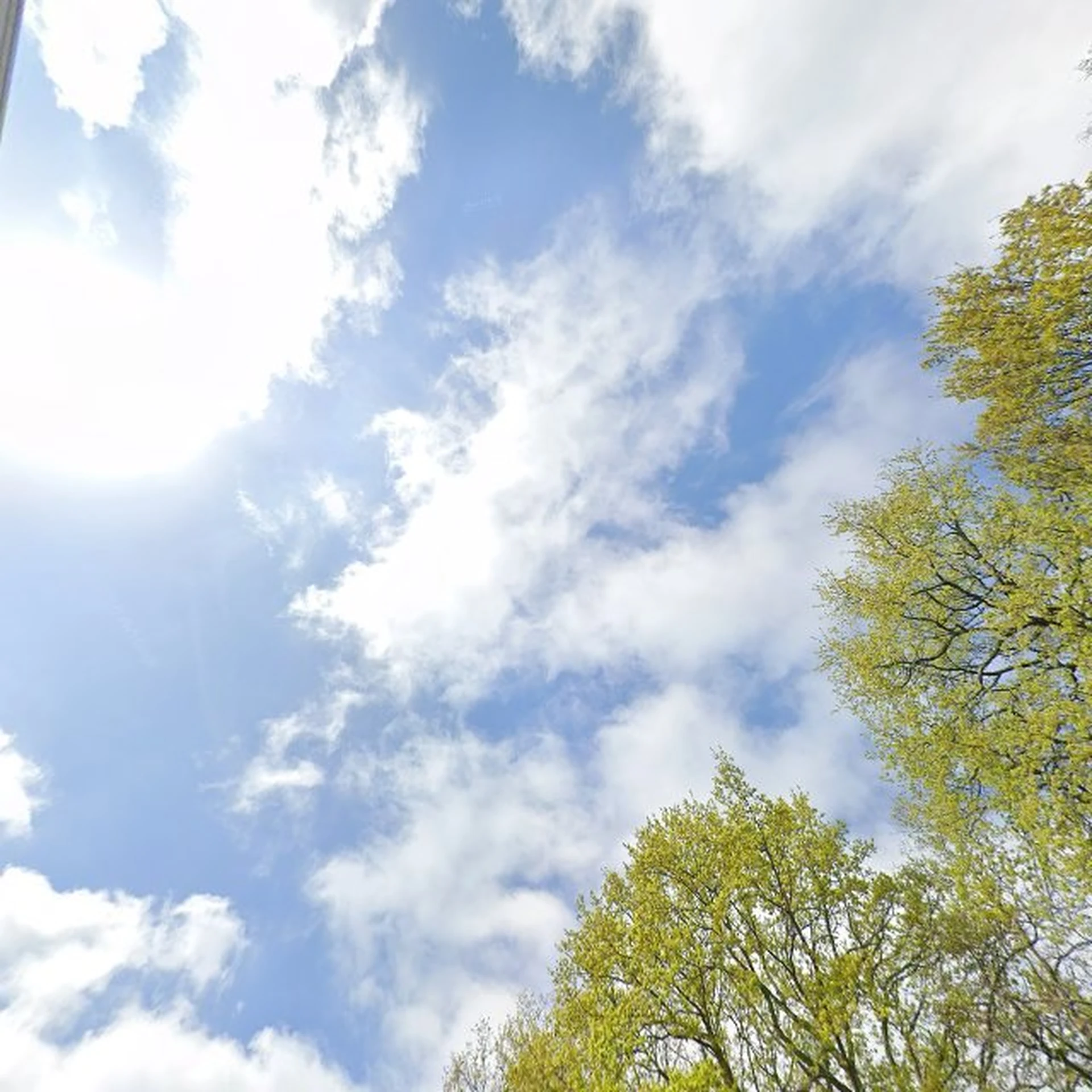 Kringloopwinkel Kringloopwinkel Het Goede Doel in Spijkenisse