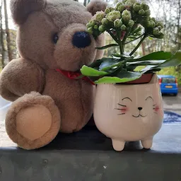 Bezoeker foto van Kringloopwinkel "Het Goede Doel" in Zeist